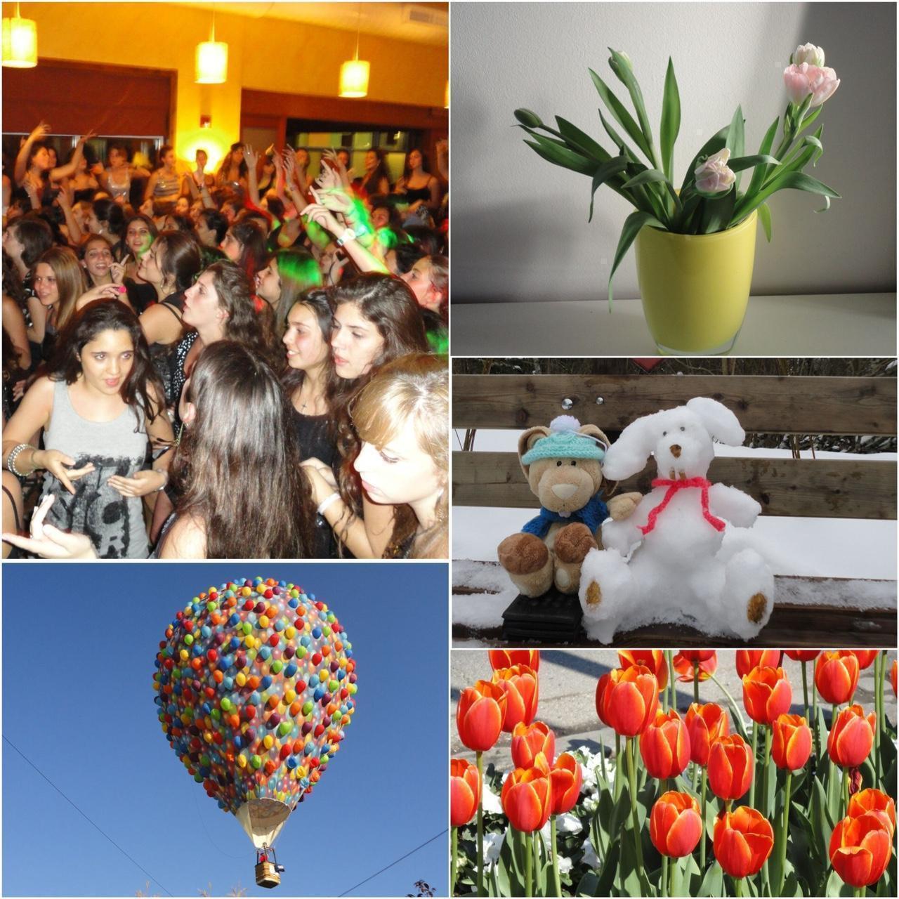 Used Sony Cybershot W350 Digital Camera